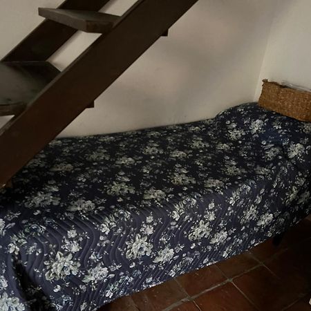 La Limonaia Di Chiaia Daire Napoli Dış mekan fotoğraf
