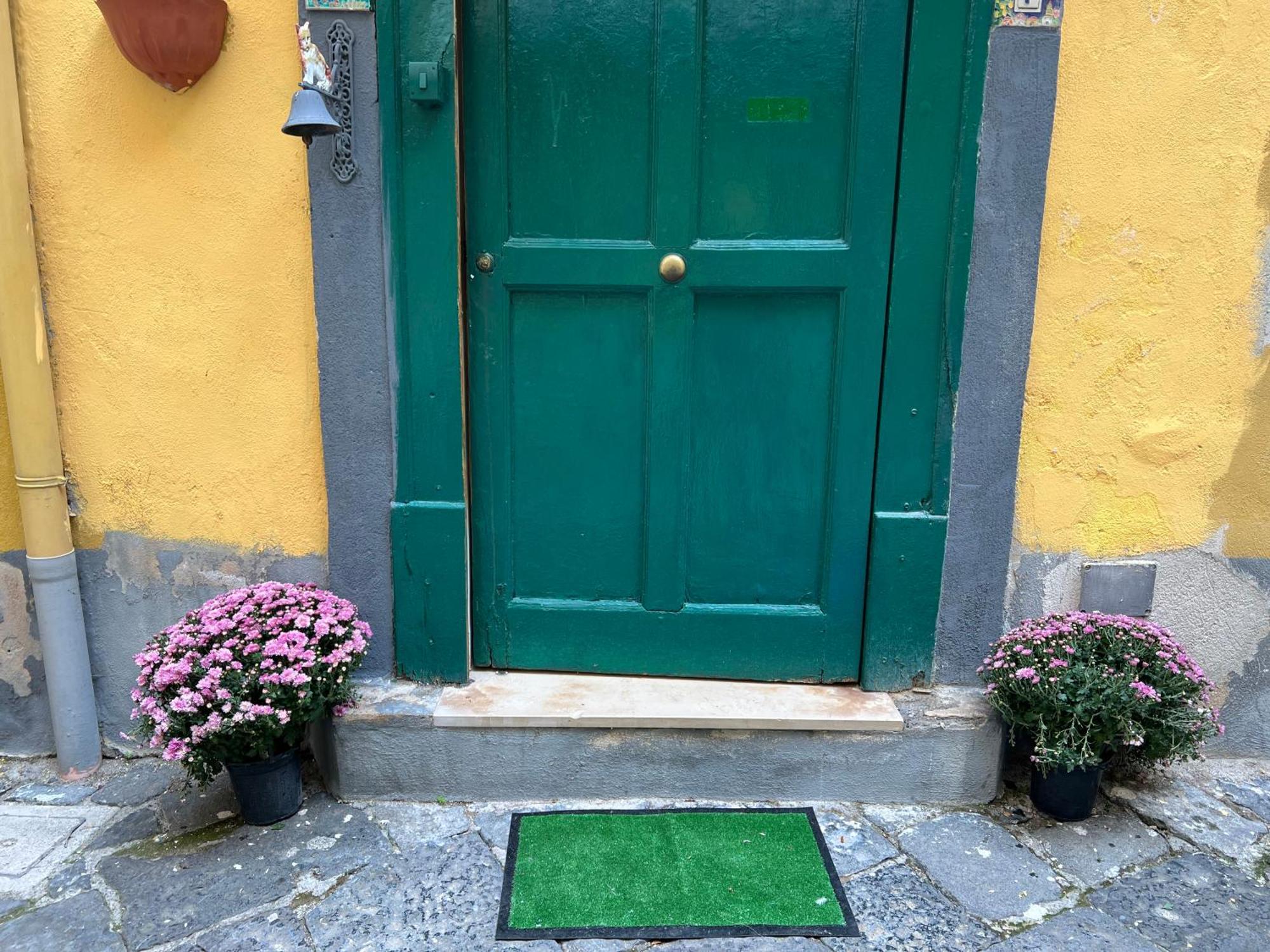 La Limonaia Di Chiaia Daire Napoli Dış mekan fotoğraf