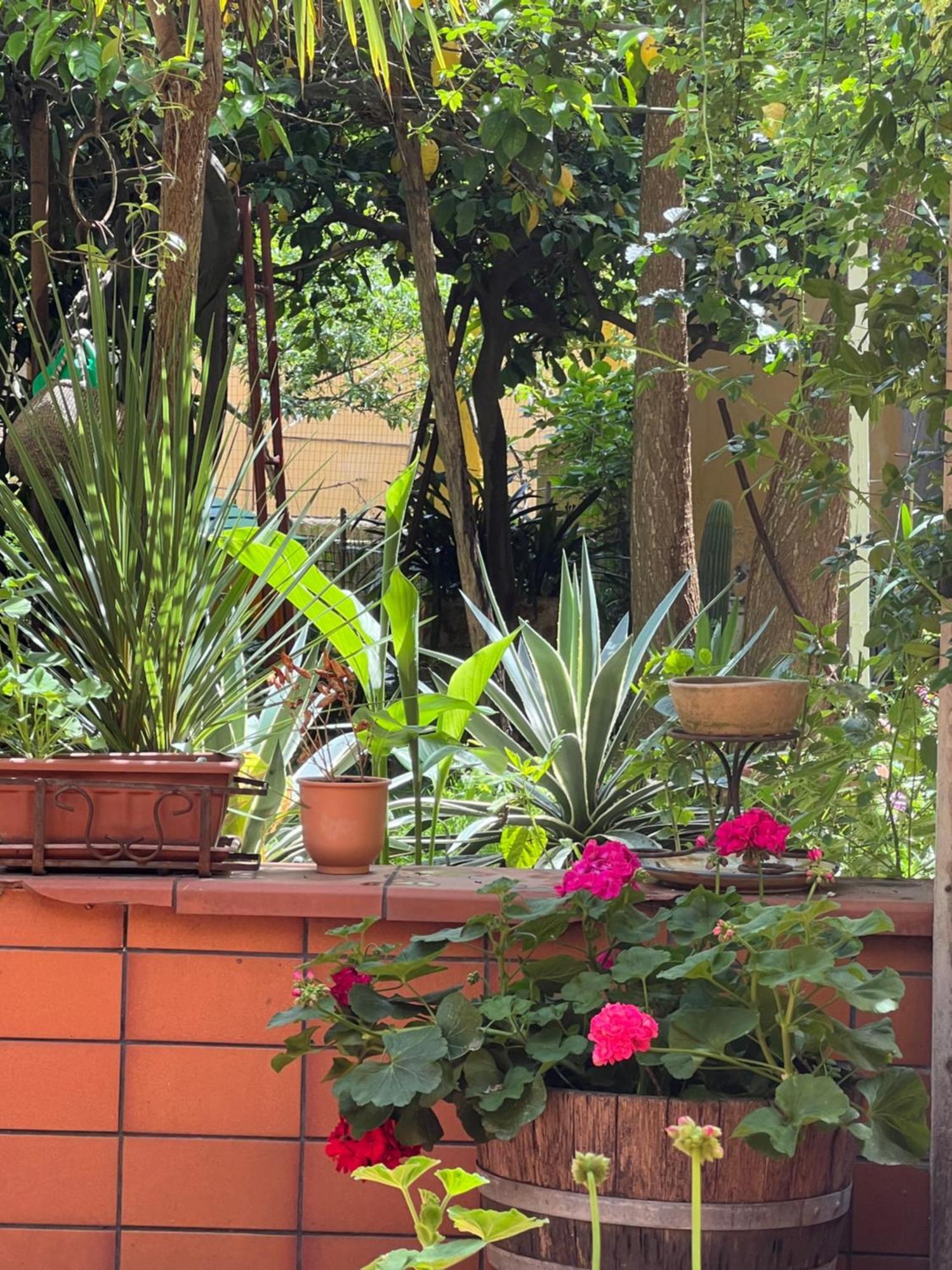 La Limonaia Di Chiaia Daire Napoli Dış mekan fotoğraf