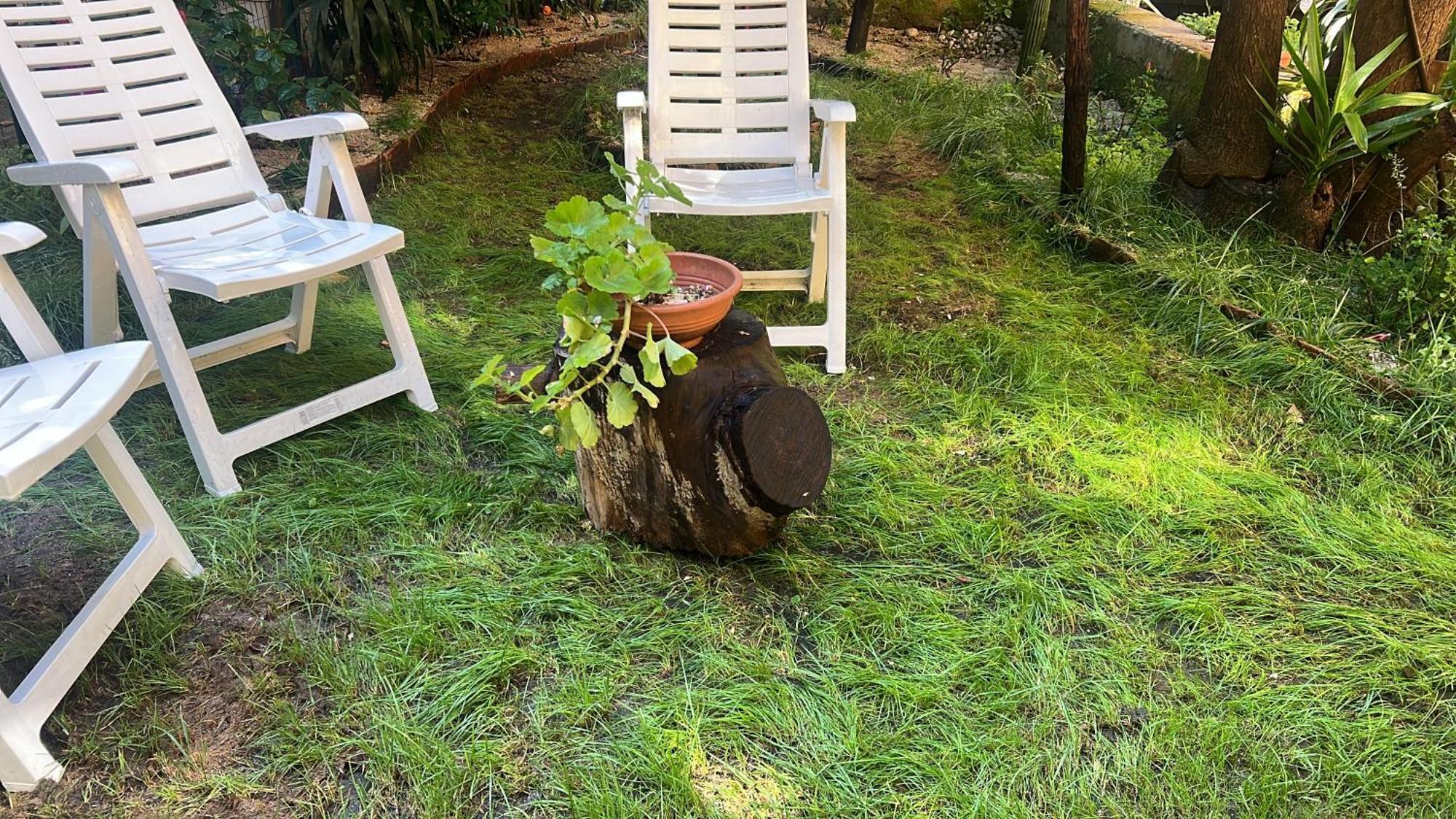 La Limonaia Di Chiaia Daire Napoli Dış mekan fotoğraf