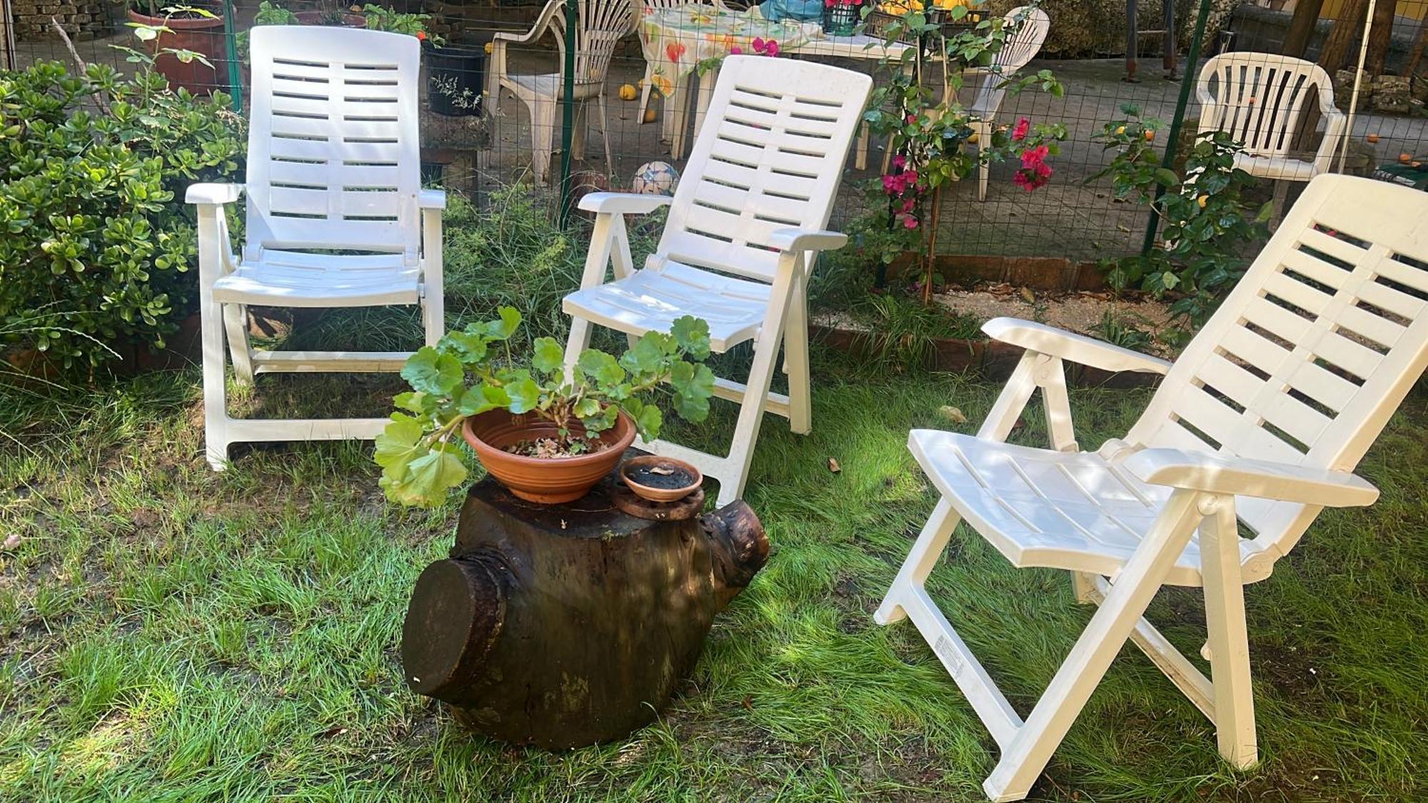 La Limonaia Di Chiaia Daire Napoli Dış mekan fotoğraf